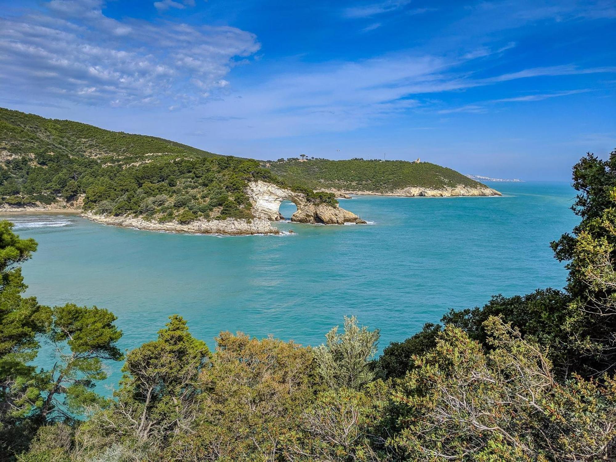 Villa Mapa - Appartamenti Vicino Al Mare Vieste Dış mekan fotoğraf