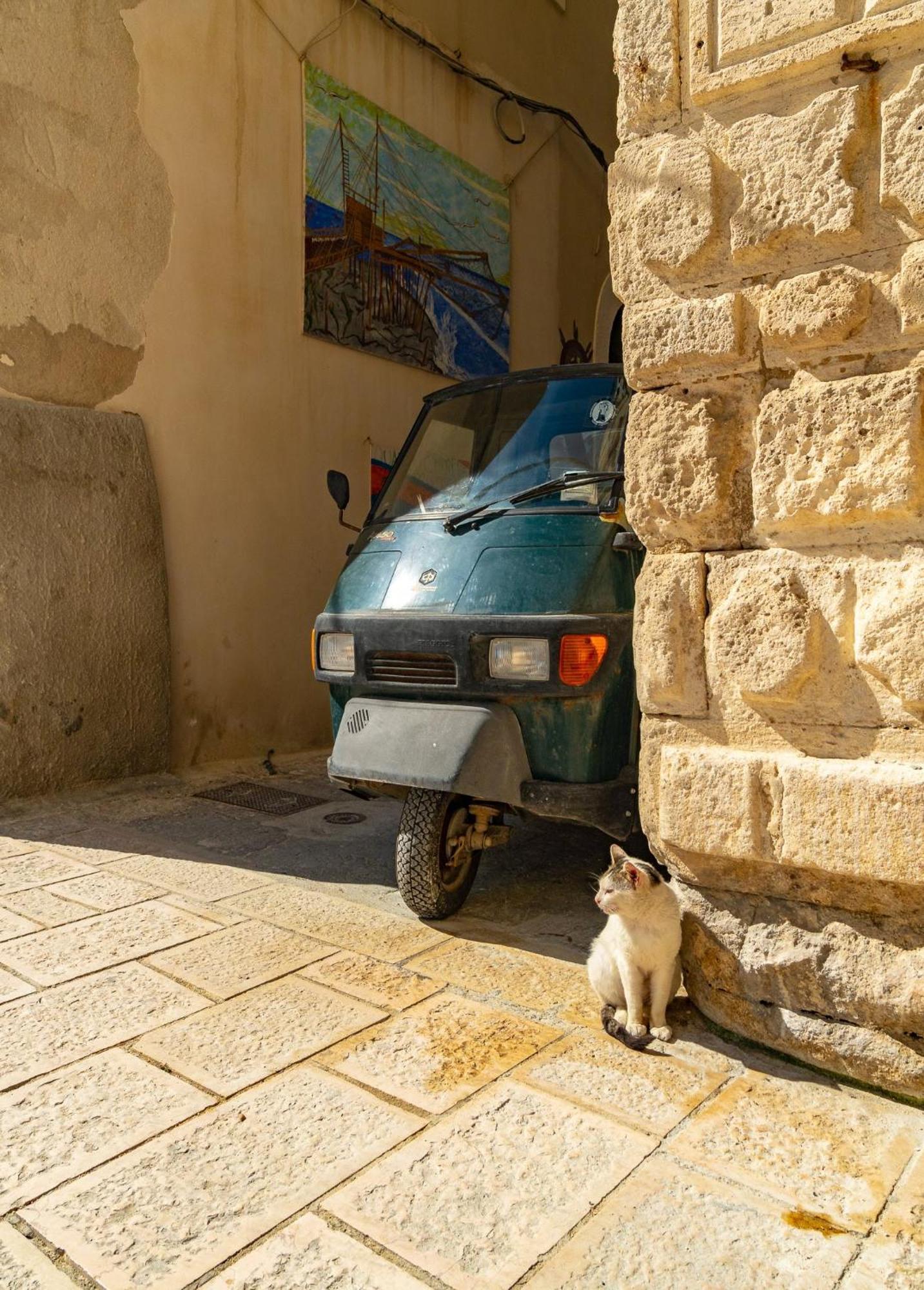 Villa Mapa - Appartamenti Vicino Al Mare Vieste Dış mekan fotoğraf